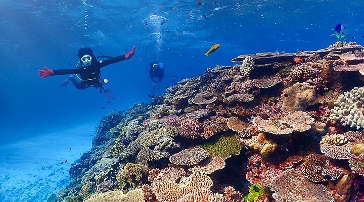 🏖️ 톤나하 해변 (톤나하 비치) 이미지 6